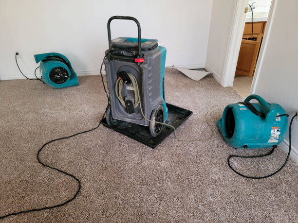 Best Residential water damage restoration  in North Valley Stream, NY