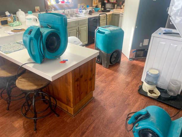 Best Water damage cleanup near me  in North Valley Stream, NY