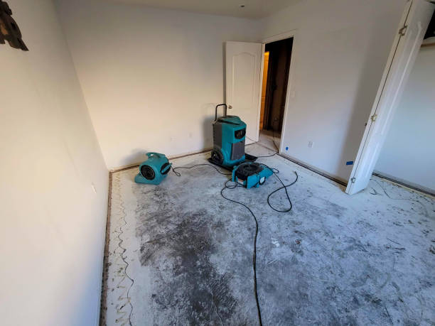 Best Water damage contractors near me  in North Valley Stream, NY