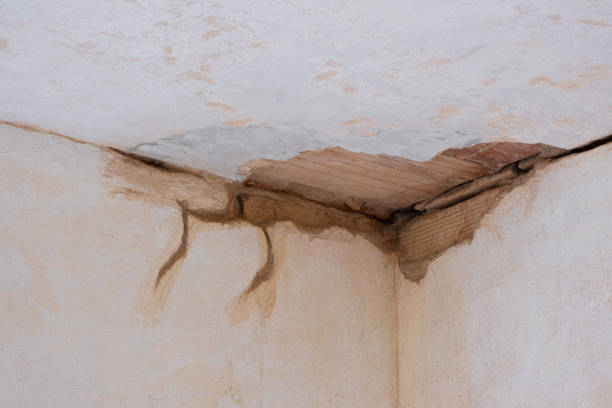 Best Fire Damage Restoration  in North Valley Stream, NY