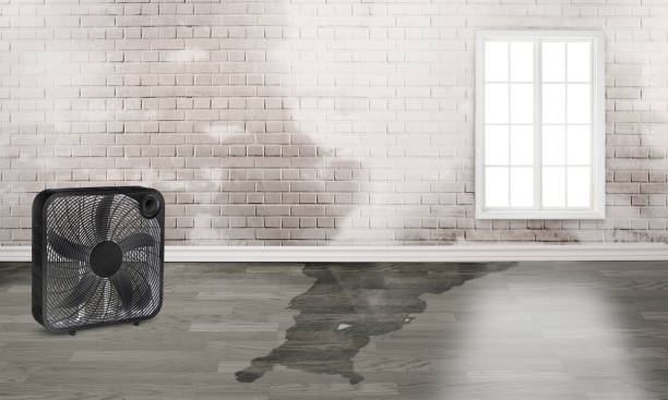 Best Emergency water damage restoration  in North Valley Stream, NY