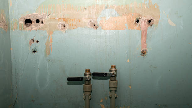 Best Mold removal after water damage  in North Valley Stream, NY