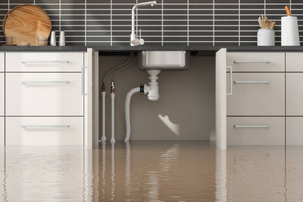 Best Flood damage cleanup  in North Valley Stream, NY