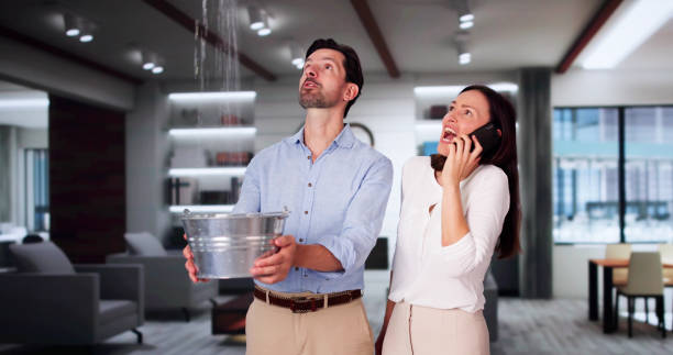 Best Basement water damage restoration  in North Valley Stream, NY